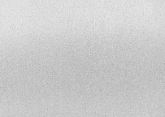 a black and white photo of a bird on a branch