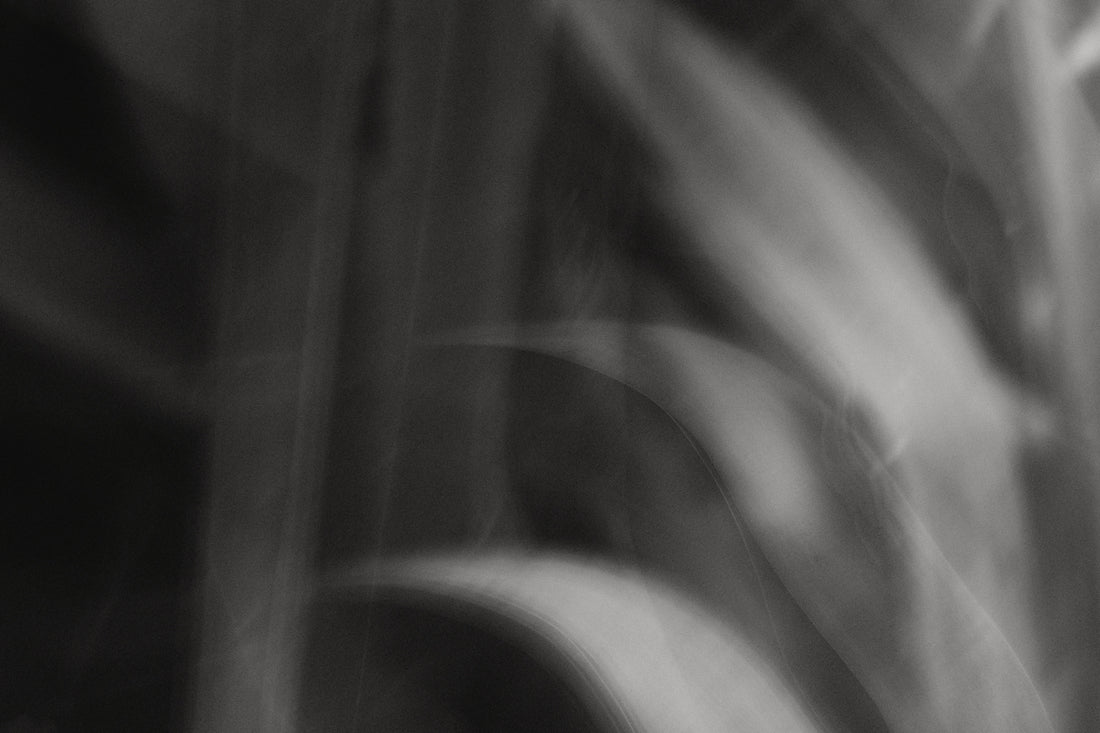 a blurry photo of a black and white background