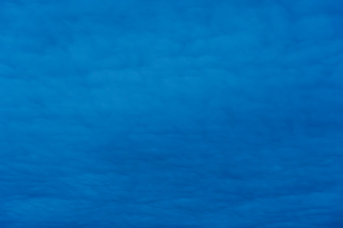 An airplane is flying high in the sky