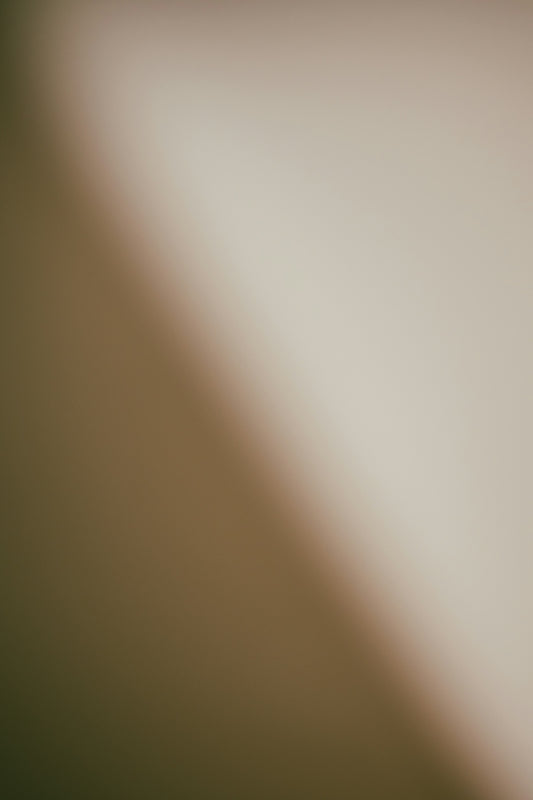 Soft gradient of beige and brown tones