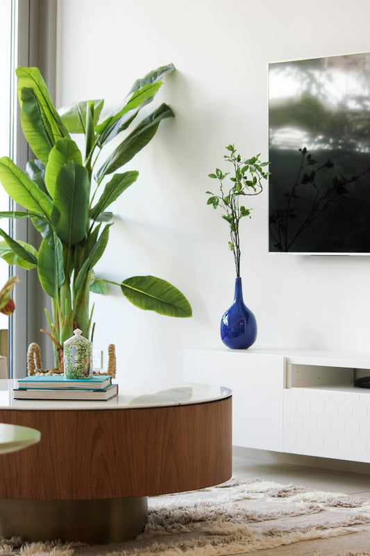 Modern living room with large potted plant and blue vase