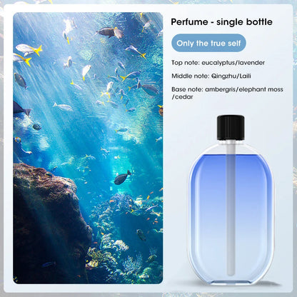 Smart Essential Oil Diffuser - Seamless Home Sanctuary | Chefio