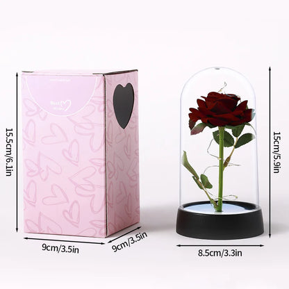 Eternal Rose LED Lamp - Silk Flower Glass Dome