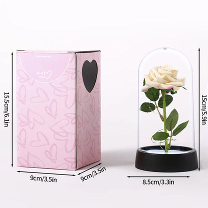 Eternal Rose LED Lamp - Silk Flower Glass Dome